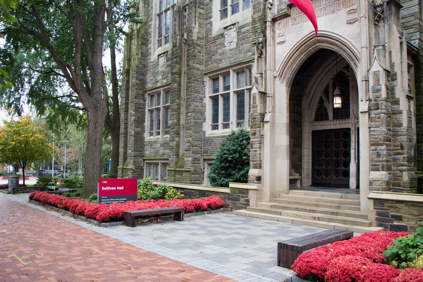 بكالوريوس العلوم