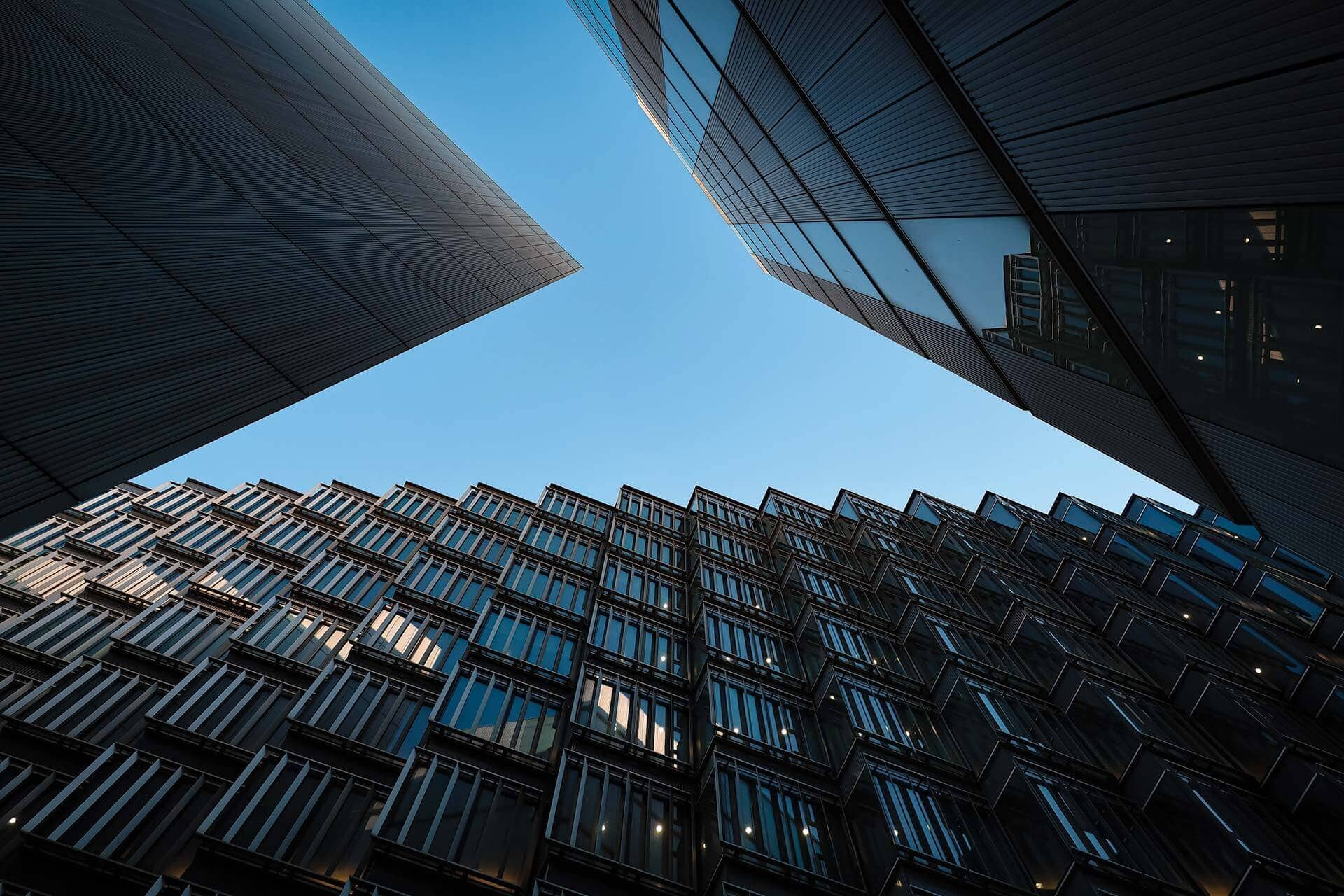 فحص تأثير العوامل البيئية على تطور السلالات الجديدة للفيروسات والبكتيريا